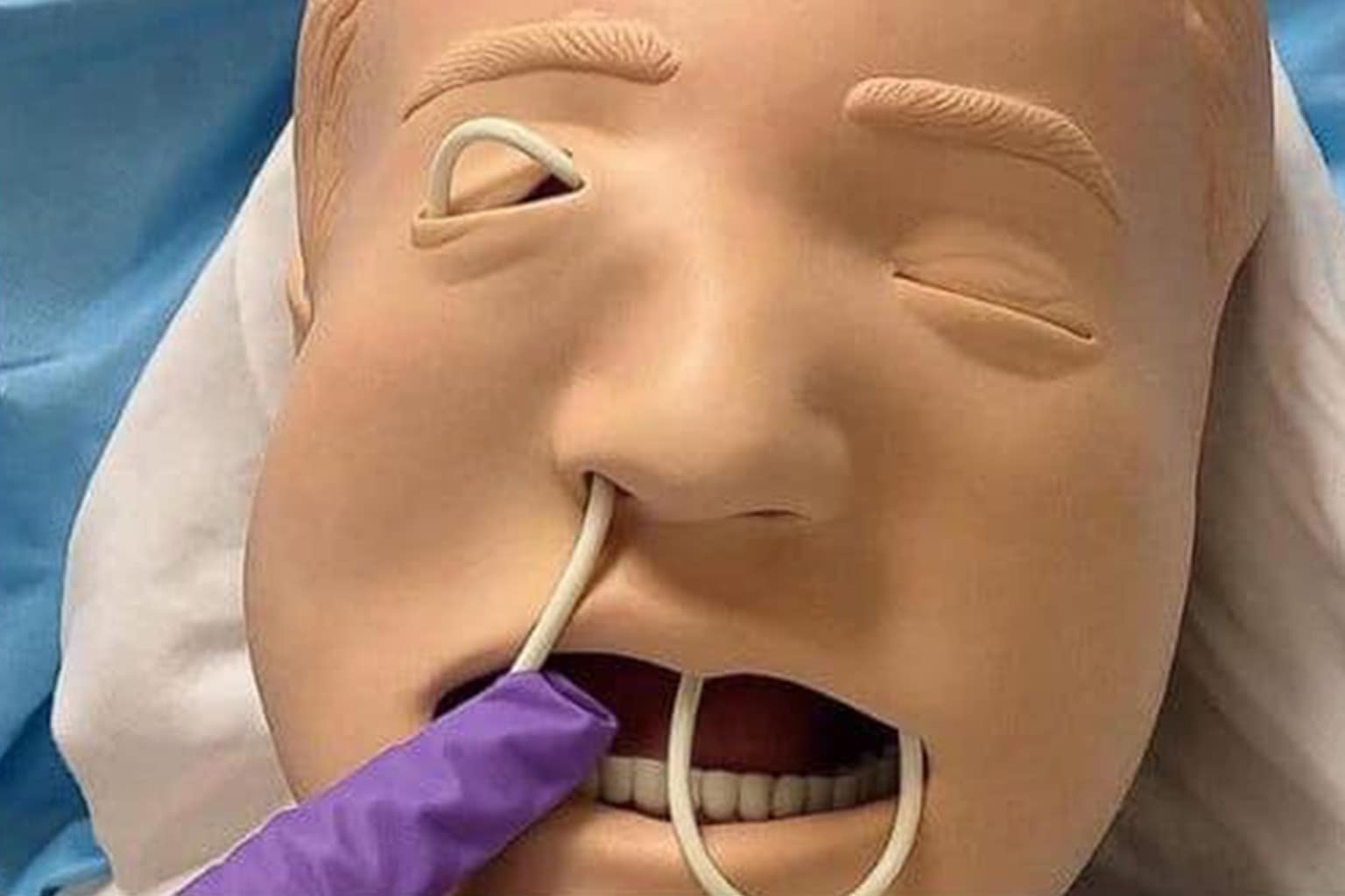 classic memes compilation: A collage featuring an unhinged Grubhub glitch promising two hundred thousand units of mac and cheese, the aesthetic dream of living the 101 Dalmatians mid-century London lifestyle, and an incredibly fat cat representing the feeling of leaving grandma's house after dinner.