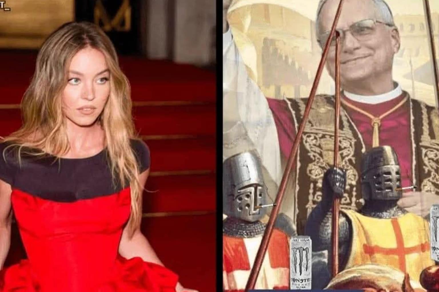 A 25-image gallery of the classic memes era at its peak, featuring the "well prepared" parachuting cat illustration, a Medusa-themed "Distracted Boyfriend" parody, and Ringo Starr's legendary plea to stop making Beatles fetish art.