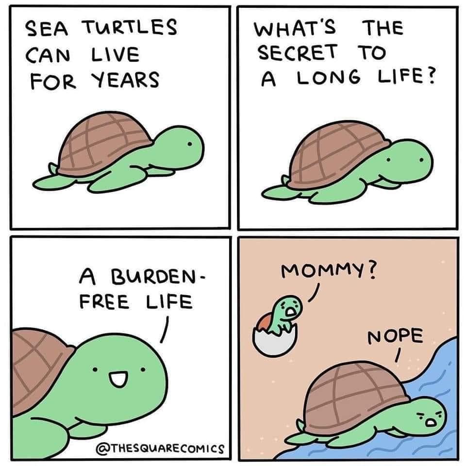 A humorous four-panel comic where an old sea turtle claims the secret to a long life is being "burden-free," which it immediately demonstrates by flatly denying parentage to a newborn turtle and swimming away.