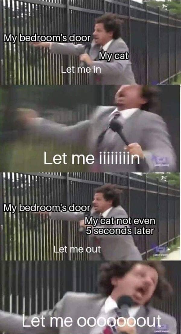 relatable pet ownership classic meme using the Eric Andre "Let me in" template to perfectly capture the absolute chaotic energy of a cat begging to enter a room, only to violently demand to be let out five seconds later.