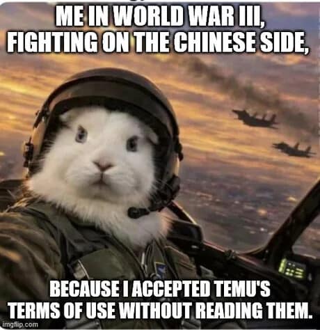 satirical classic meme about digital consumerism. It features an AI-generated image of a white rabbit wearing a high-tech fighter pilot helmet inside a jet cockpit. The text reads: "ME IN WORLD WAR III, FIGHTING ON THE CHINESE SIDE, BECAUSE I ACCEPTED TEMU'S TERMS OF USE WITHOUT READING THEM."