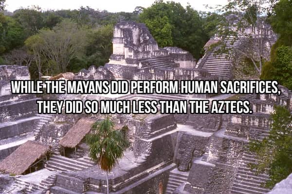 Overlooking the stone ruins of Tikal illustrating the scale of Mayan architecture versus Aztec sacrifice.