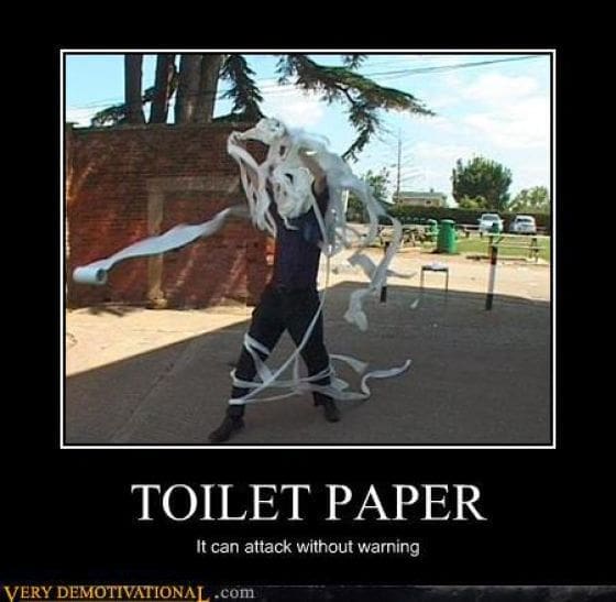 chaotic demotivational poster showing a person tangled in a whirlwind of flying toilet paper in a public park. The bold headline "TOILET PAPER" is followed by the ominous warning: "It can attack without warning."