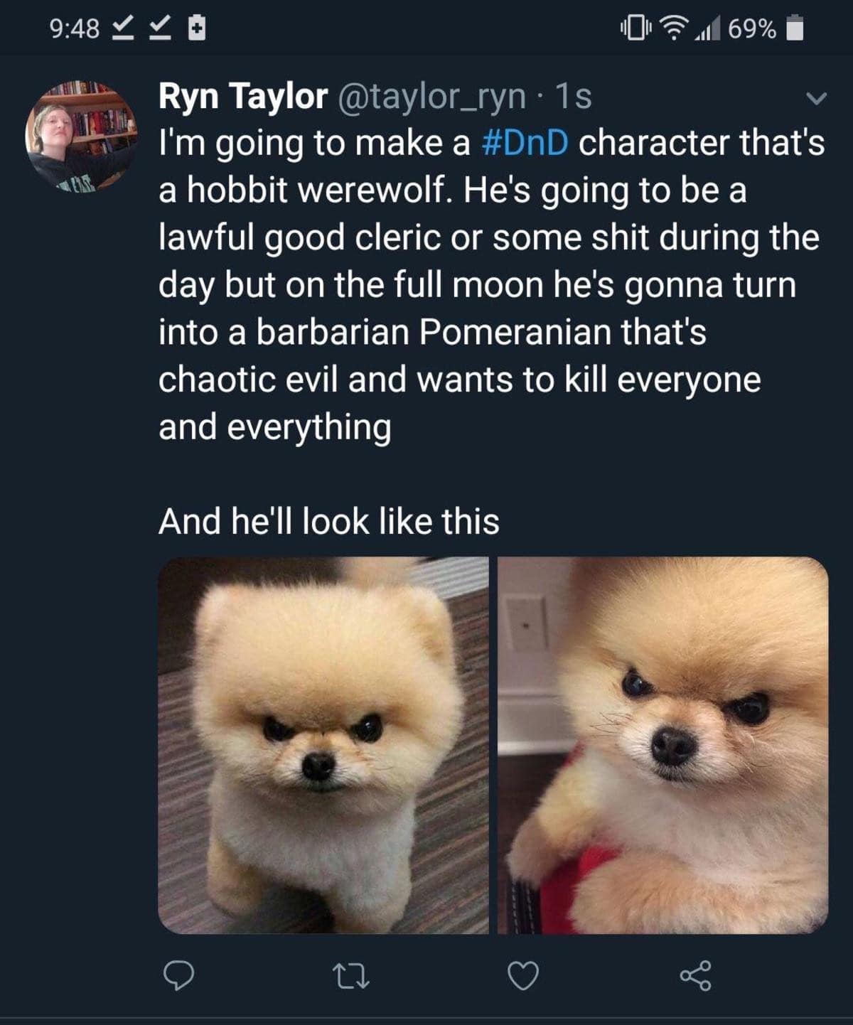 d&d meme proposal for a Hobbit Werewolf character who lives as a Lawful Good Cleric by day but transforms into a "Barbarian Pomeranian" during the full moon. The visual features two photos of an incredibly tiny, furious-looking white Pomeranian to represent the chaotic evil transformation.