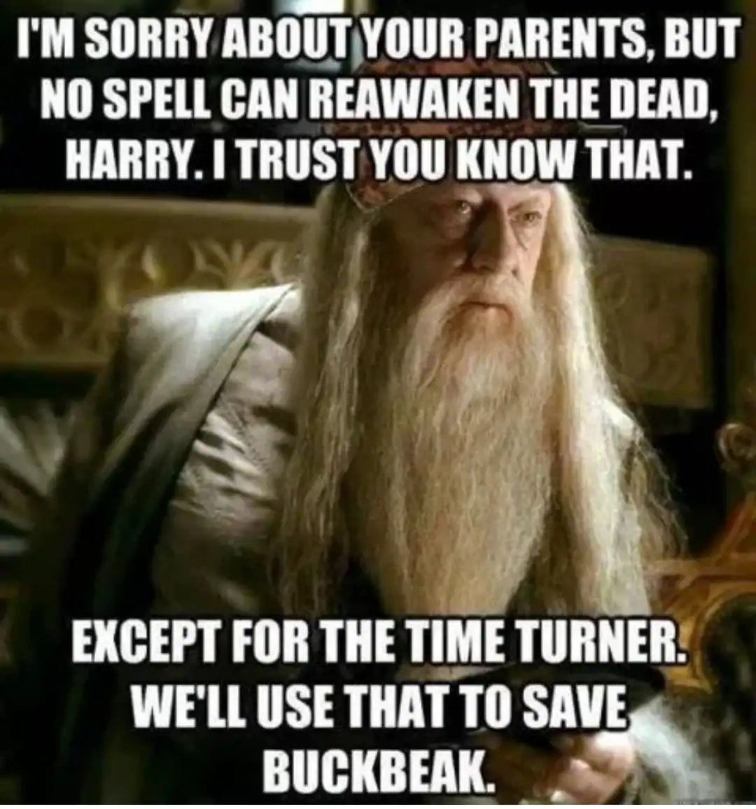 A "Scumbag Dumbledore" variant of the dumbledore meme. Wearing the classic Scumbag Steve hat, the text points out the hypocrisy of telling Harry no spell can reawaken the dead while immediately using a Time Turner to save a hippogriff.