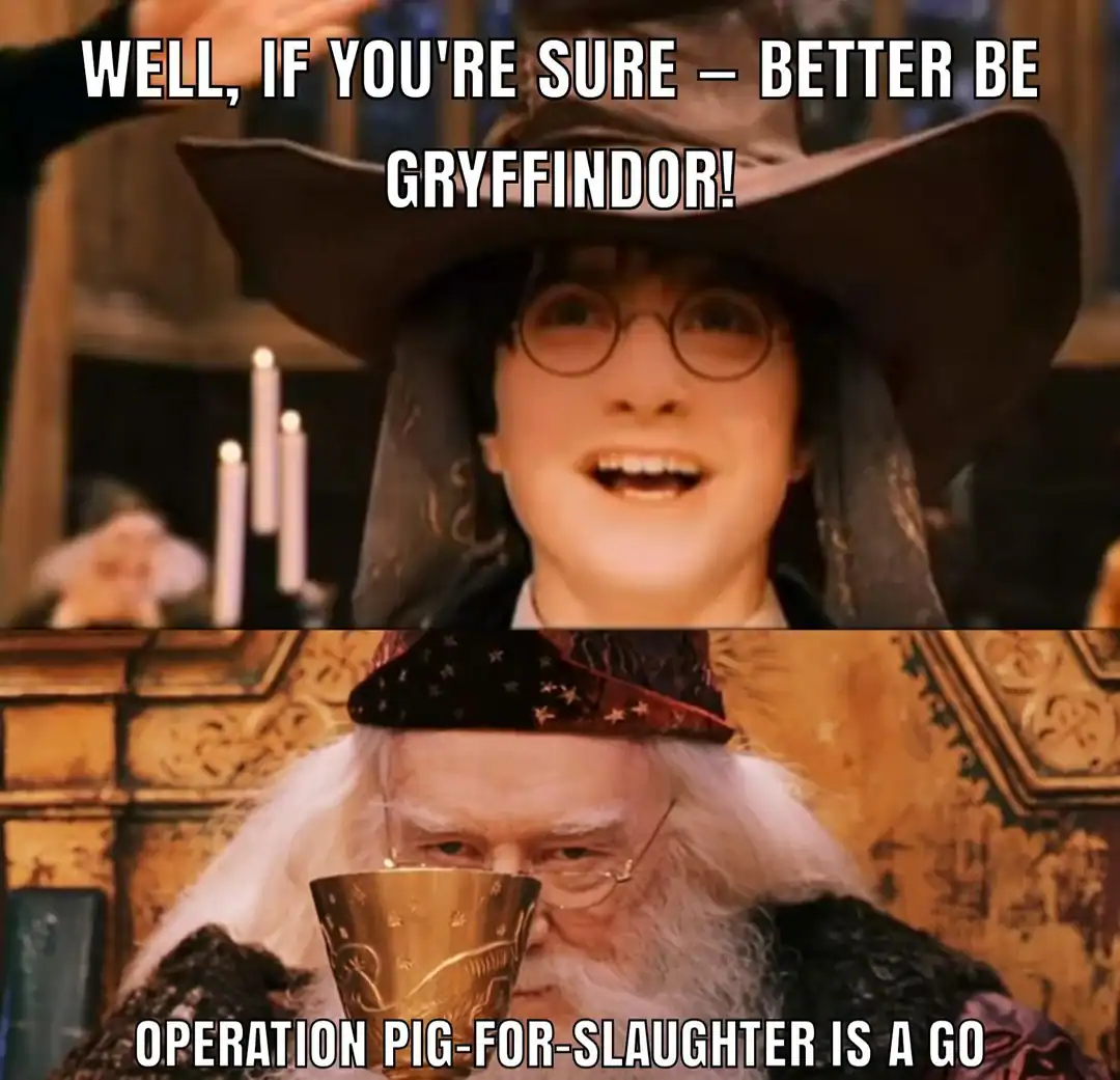 A two-panel comic from the first film. The top shows Harry’s joy at being sorted into Gryffindor, while the bottom shows Dumbledore stoically declaring that "Operation Pig-for-Slaughter is a go."