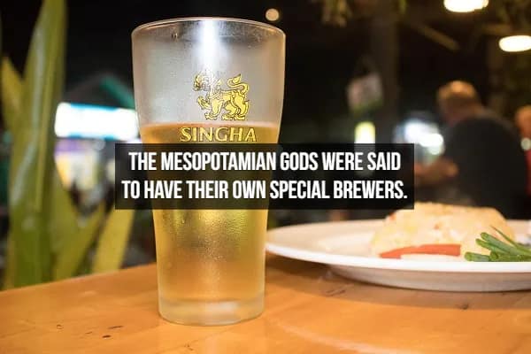 A crisp, cold pint of Singha beer sits on a wooden table, its condensation catching the light. The text overlay shares a divine fact about beer: "The Mesopotamian gods were said to have their own special brewers."