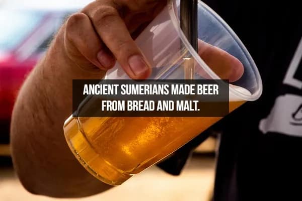 A hand pouring a bright golden beer into a clear plastic cup, featuring a beer fact about the origins of brewing: Ancient Sumerians famously crafted their beer using bread and malt.
