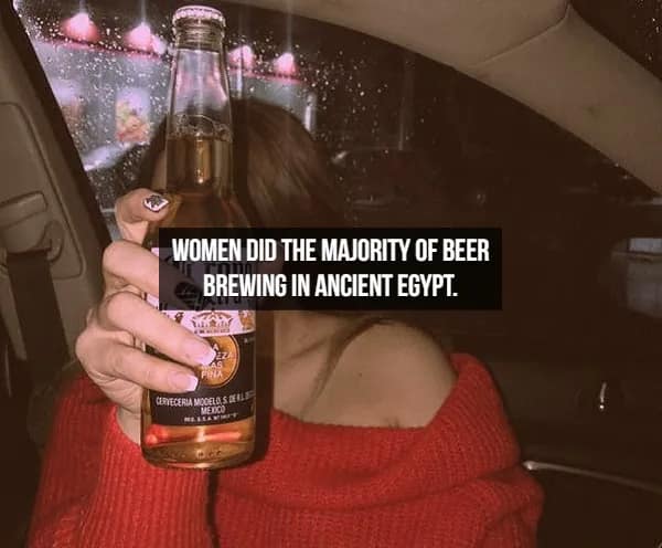 A bottle of beer held against a rainy car window at night, paired with a historical beer fact revealing that women were responsible for the majority of beer brewing in Ancient Egypt.