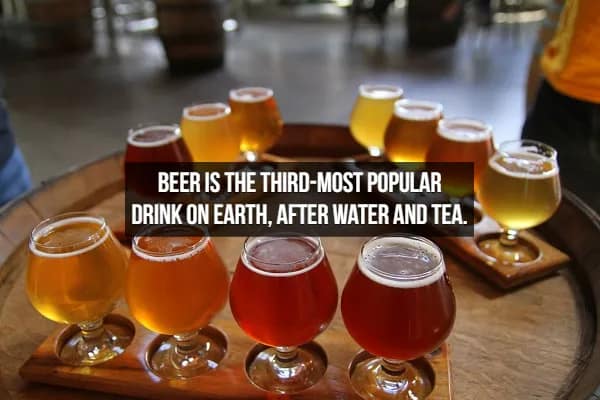 Twelve small taster glasses filled with diverse brews are arranged in a circle on a wooden barrel lid. The overlay states a global beer fact: "Beer is the third-most popular drink on Earth, after water and tea."