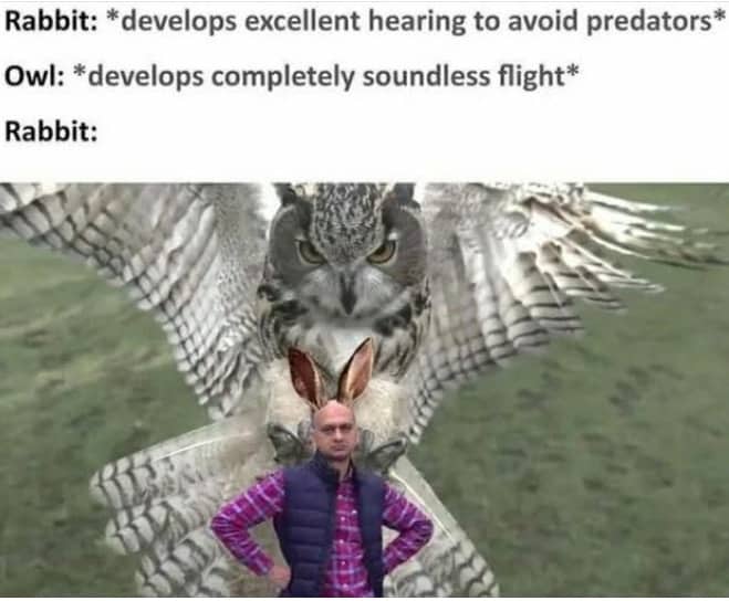 A nature-themed meme about an owl hunting a rabbit using soundless flight to avoid detection.