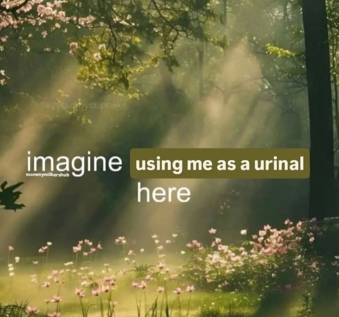 Dreamy forest landscape with a funny caption about using the beautiful scenery as a urinal.