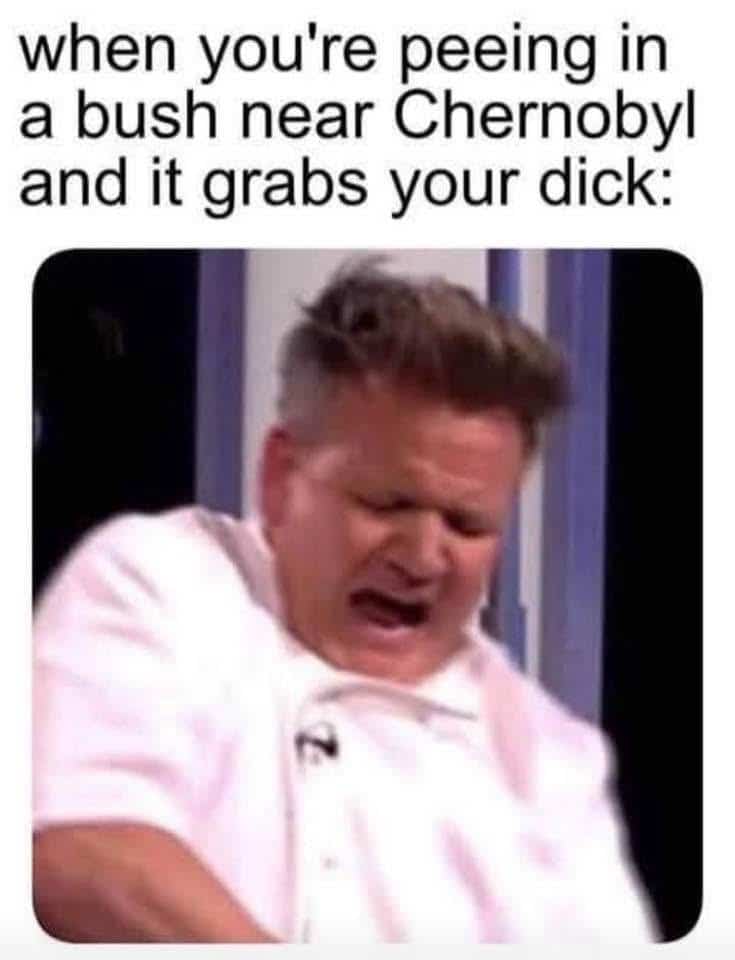 A blurry meme of Gordon Ramsay screaming with a caption about a bush near Chernobyl.