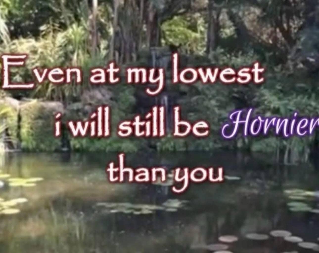 Humorous image with fancy text over a pond stating a high level of romantic desire.