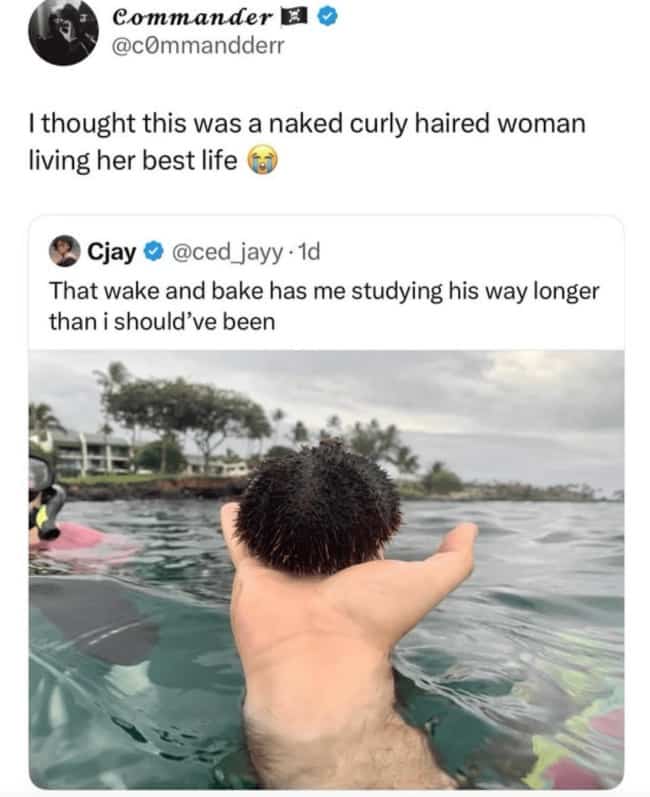 Optical illusion photo of a person in water that looks like a naked curly-haired woman.