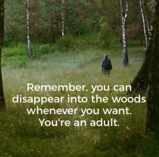 Inspirational style meme showing a person walking into a forest with text about adult autonomy.