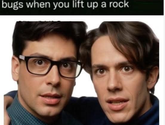 Two men with glasses staring intensely upward, captioned as bugs react when lifting a rock.