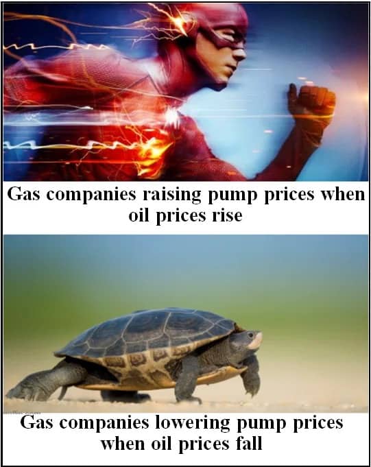 Comparison meme using The Flash and a turtle to show gas company price fluctuations.