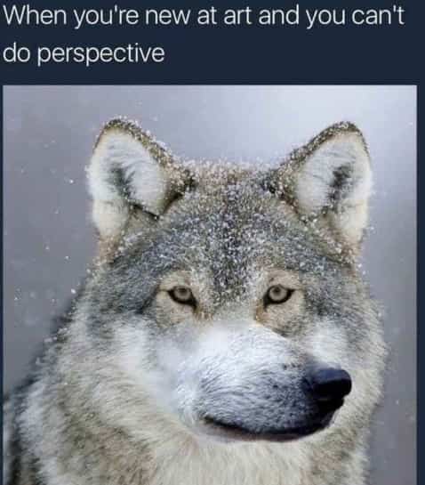 Hilarious edited photo of a wolf with a front-facing snout illustrating a lack of artistic perspective.