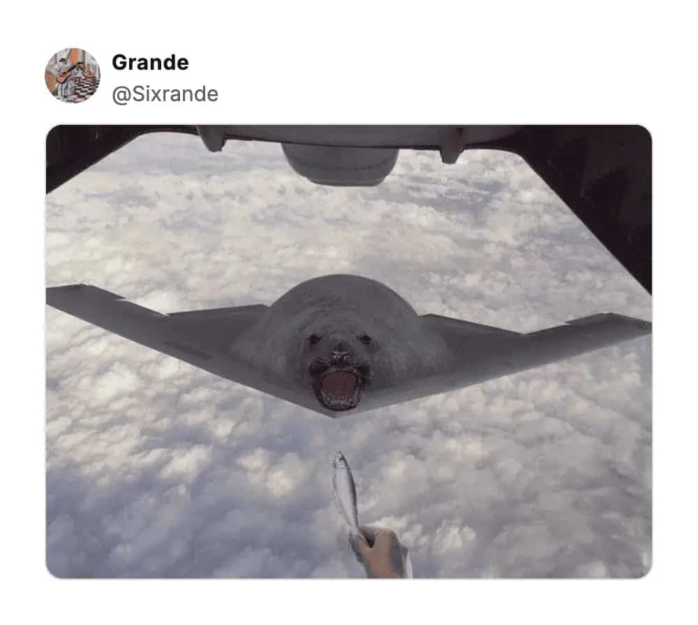 Surreal edited image of a stealth bomber with a seal's face being fed a fish.