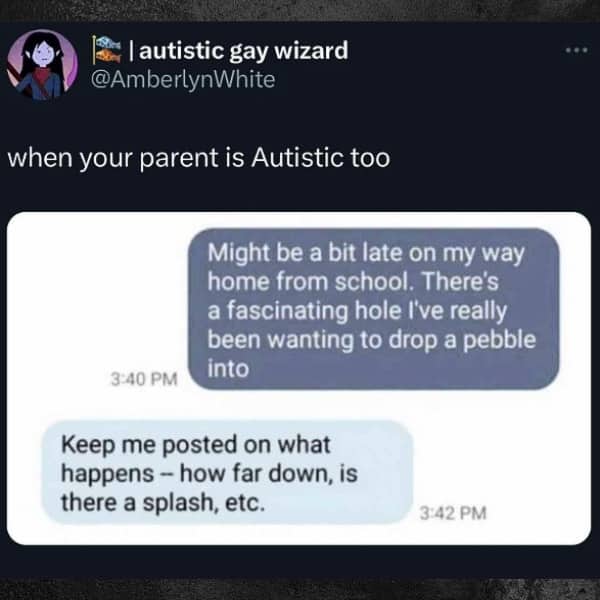 Text message conversation between an autistic student and parent about dropping pebbles into a hole.