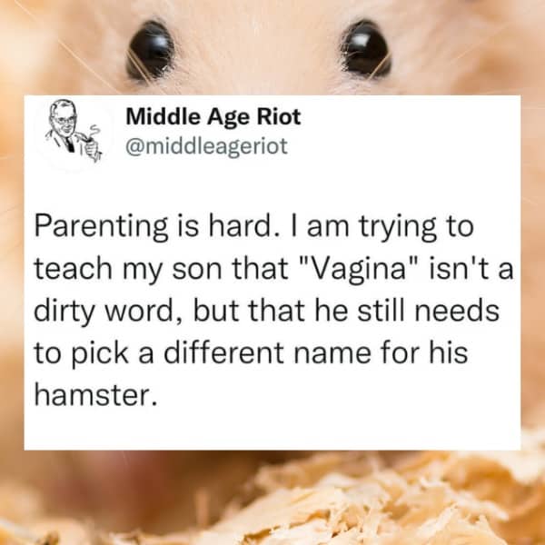 Funny parenting meme about a child wanting to name their pet hamster a biological term.