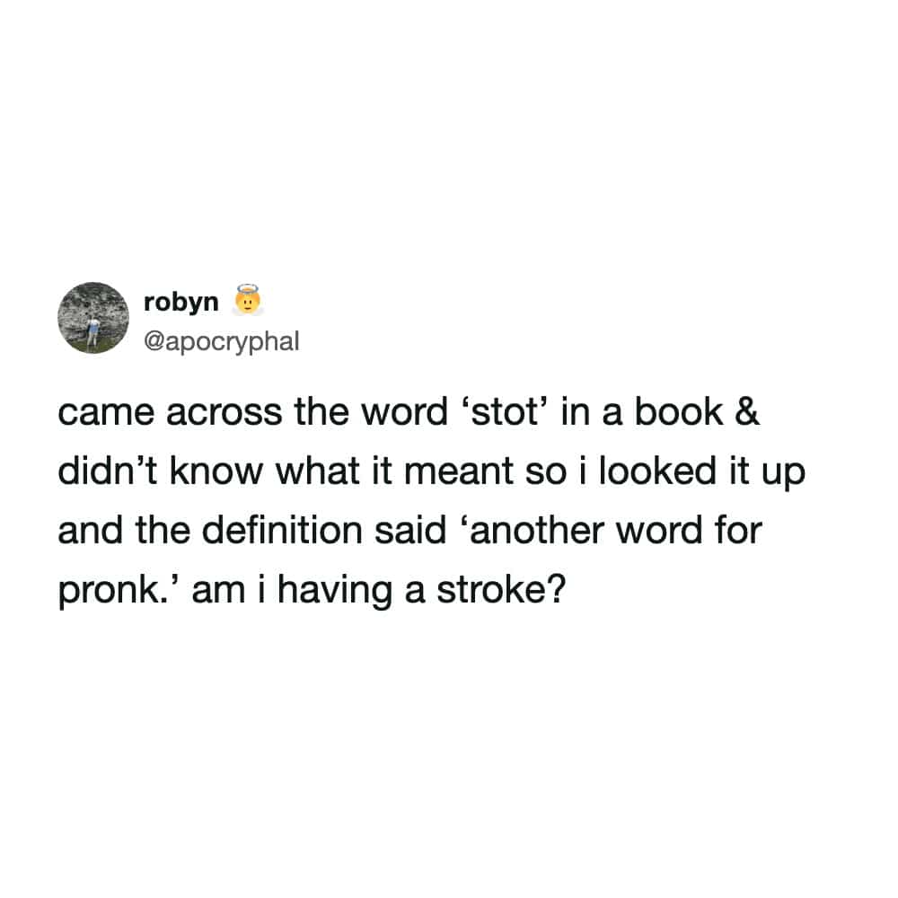 Humorous post about the confusing dictionary definition of the word stot being another word for pronk.