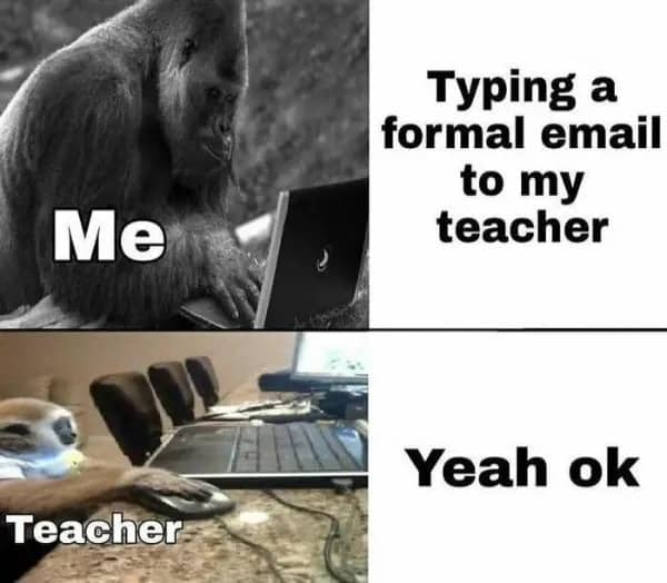 Comparison meme showing a gorilla typing a formal email versus a monkey's short "Yeah ok" response.