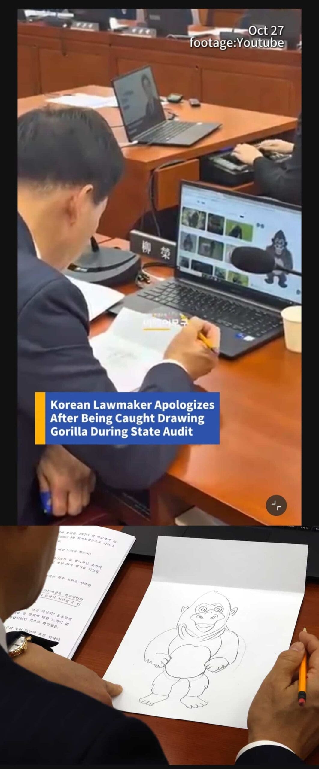 Korean lawmaker caught drawing a detailed gorilla on paper during a formal state audit meeting.
