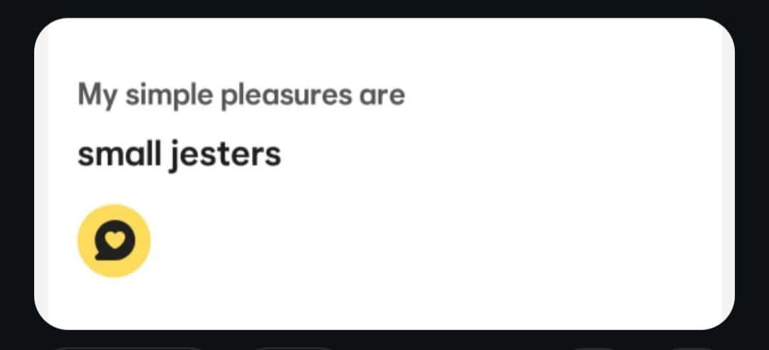 screenshot of a dating profile bio where a user claims their simple pleasures are "small jesters," a funny spelling mistake where they clearly meant "gestures" but accidentally requested a tiny medieval clown.