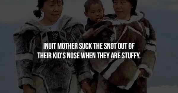 Fact slide about Inuit mothers clearing their children's stuffy noses using their mouths.