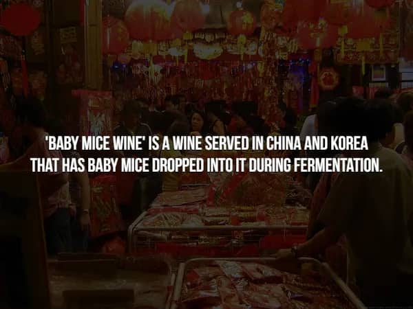 Fact slide about baby mice wine produced in China and Korea using fermented mice.