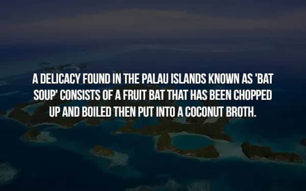 Fact slide about a delicacy in the Palau Islands consisting of fruit bat soup.