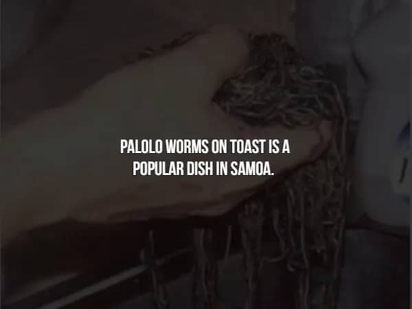 Fact slide mentioning that Palolo worms on toast is a popular dish in Samoa.