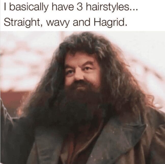 Hagrid meme comparing frizzy hair to his iconic wild beard and messy hairstyle.