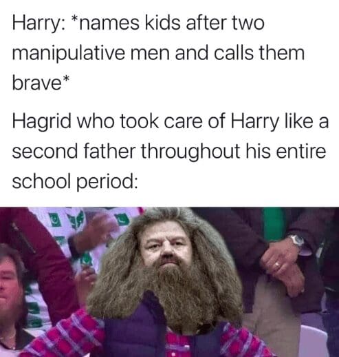 Disappointed fan meme highlighting Hagrid as Harry's true father figure over Dumbledore and Snape.