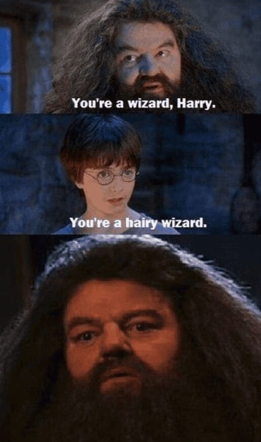 Harry Potter parody panel where Harry tells Hagrid that he is a hairy wizard.