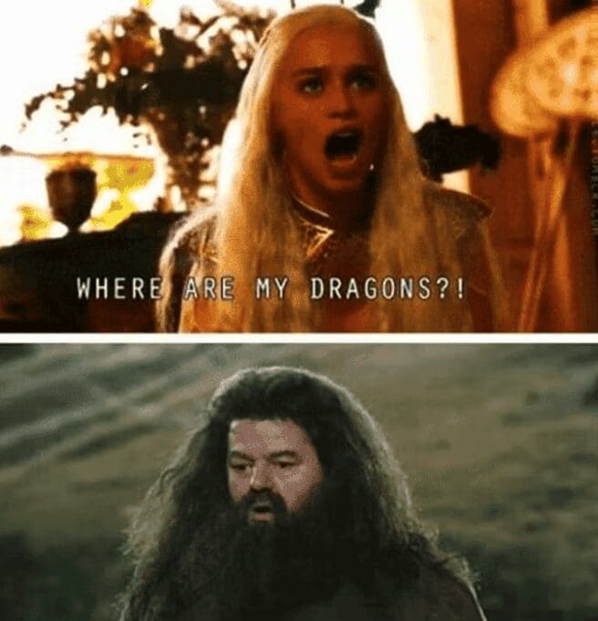 Crossover meme with Daenerys Targaryen asking for her dragons and Hagrid looking very suspicious.