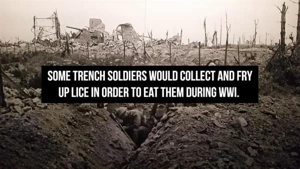 A black and white photo of a devastated WWI battlefield with trench soldiers, featuring a gritty historical fact about how some desperate soldiers would collect and fry up lice to eat during the war.