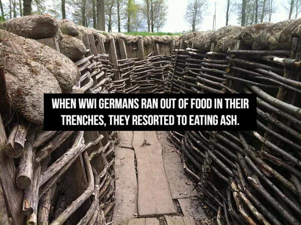 color photograph showing a narrow, reinforced WWI trench built with woven branches and dirt, featuring a harrowing historical fact about how starving German soldiers eventually resorted to eating ash to survive.