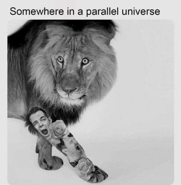 A surreal lion meme showing a black and white lion whose front leg is swapped with a tattooed human arm featuring a screaming man's face, captioned somewhere in a parallel universe, a bizarre highlight among memes about lions.