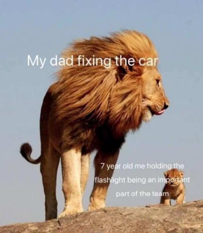 A highly relatable lion meme comparing a massive male lion to a dad fixing the car, while a tiny brave cub represents the seven-year-old child proudly holding the flashlight to be an important part of the team, a classic entry in memes about lions.