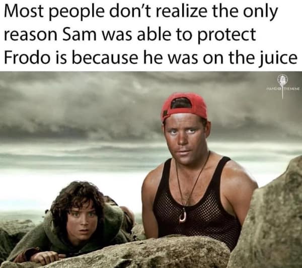 A lotr meme featuring a buff, tanned Sean Astin alongside Frodo, jokingly claiming the only reason Sam could protect him was that he was "on the juice," a hilarious take on Sam's unwavering strength throughout the journey.