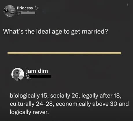 The complicated reality of modern commitment is dissected in this relatable meme dump post, ranking the ideal age to get married from biological, social, and economic perspectives with a cynical "logically never" finale.