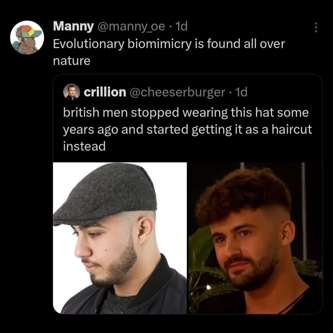viral hilarious meme tweet about British fashion. It features a side-by-side comparison of a traditional flat cap and a modern "broccoli" haircut (tapered sides with a messy, curly top). The quote-tweet from user Manny adds: "Evolutionary biomimicry is found all over nature."