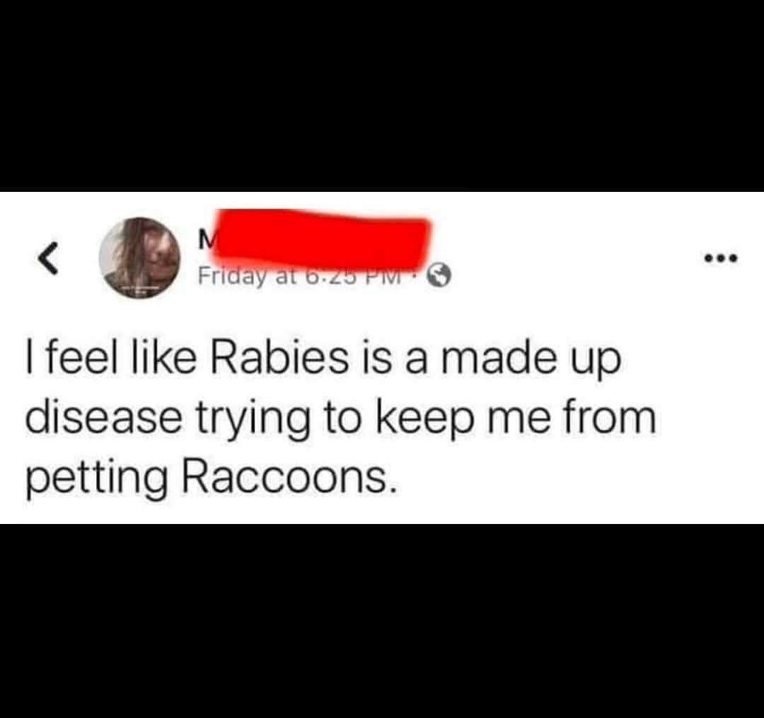 chaotic hilarious meme from a meme dump where a user expresses their deep suspicion that rabies is just a "made up disease" designed to stop them from fulfilling their destiny of petting a wild raccoon.