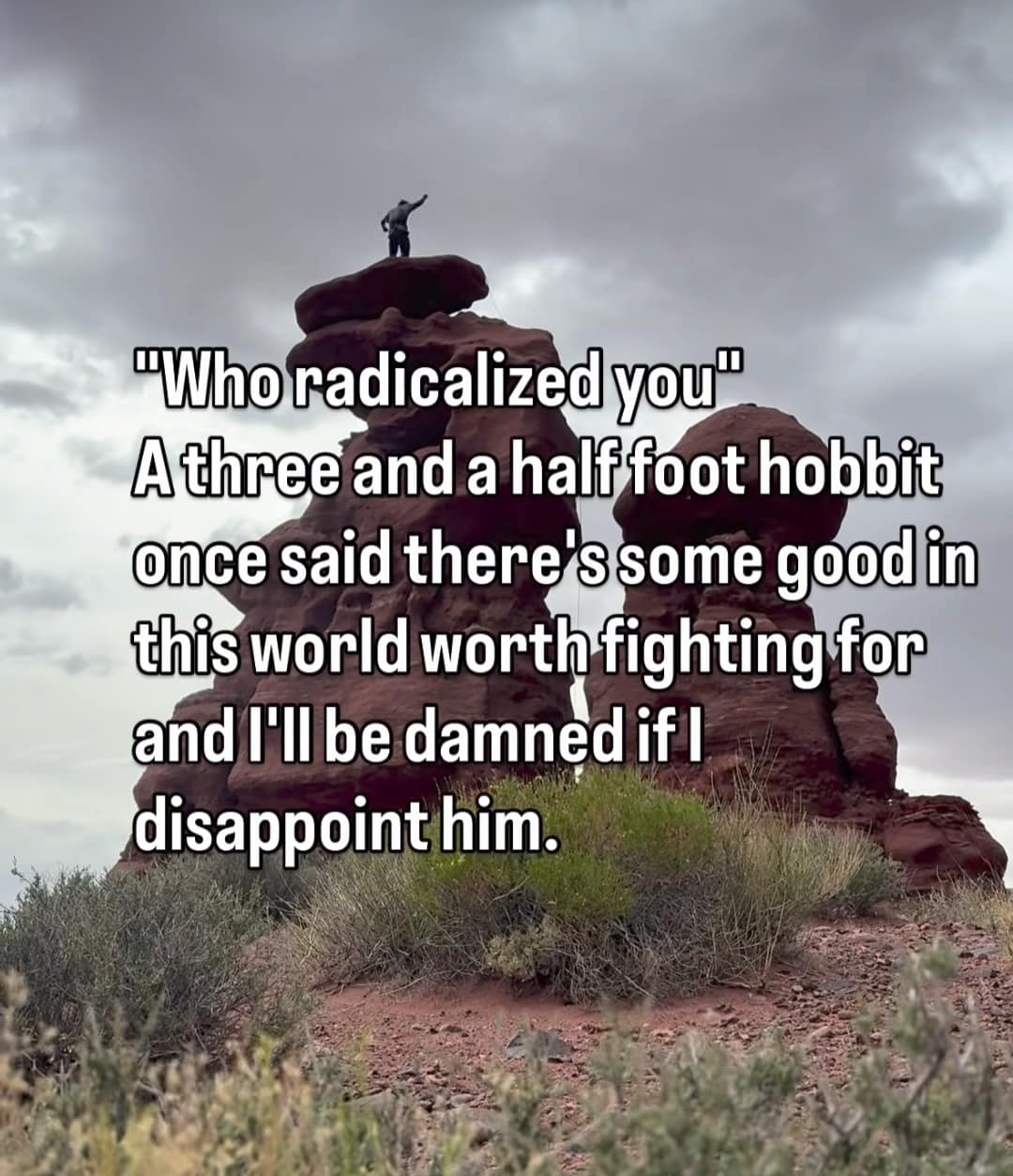 An epic funny meme featuring a lone figure atop a rock formation, explaining that they were "radicalized" by Samwise Gamgee’s famous Lord of the Rings speech about there being good in the world worth fighting for.