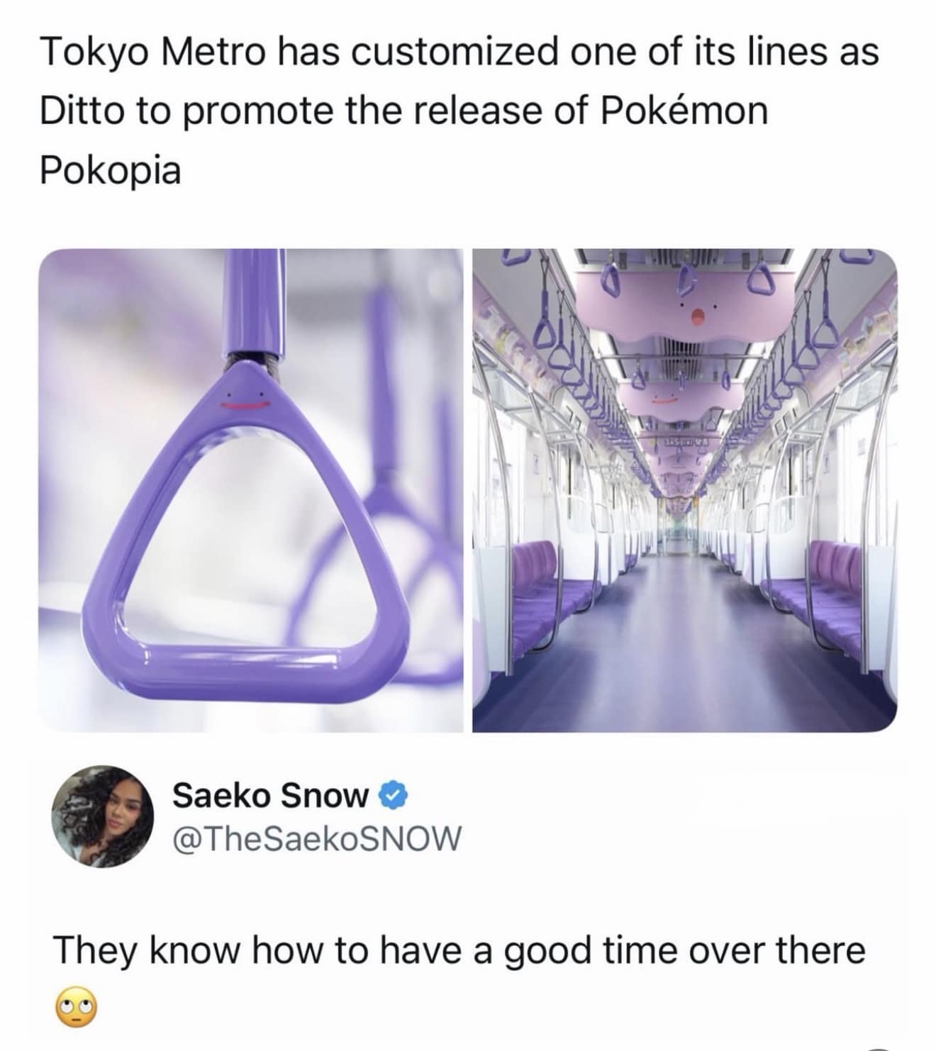 A hilarious meme showing the Tokyo Metro entirely decked out as the Pokémon Ditto with derpy little faces on the purple handle rings, serving up some absolutely elite public transit energy in this meme dump.