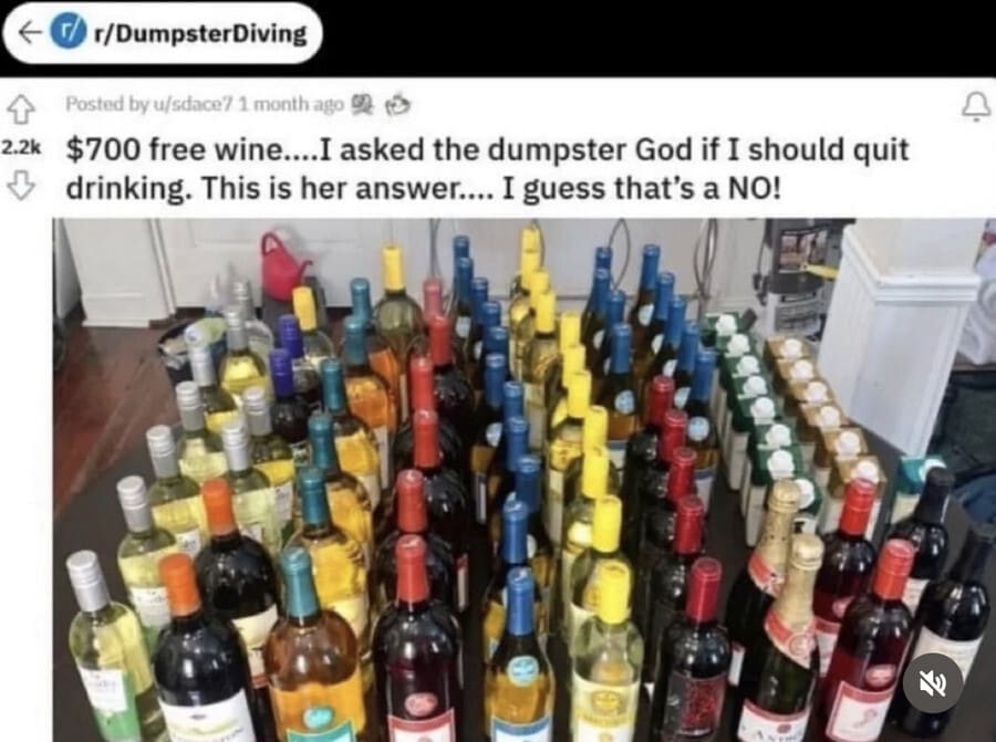 surreal moment of "divine intervention" from a Reddit dumpster diving thread makes this meme dump highlight, showing dozens of bottles of free wine discovered right after asking for a sign to quit drinking.
