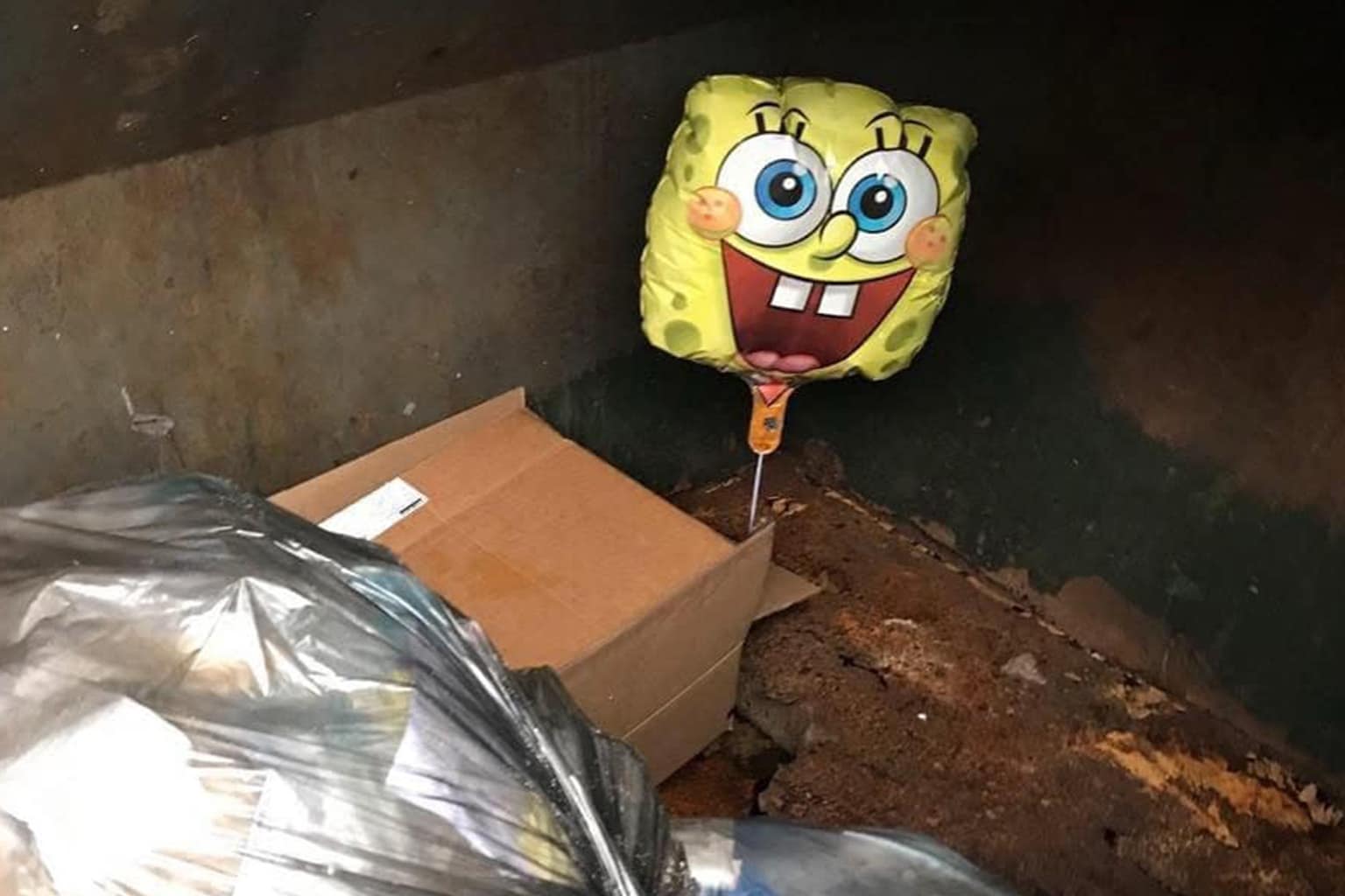 This meme dump of hilarious memes content highlights the absolute chaos of the internet, from the "Adam Sandler vs. Legally Blonde" adulthood style comparison to the suave bar-cat lounging on a sofa and the deeply unsettling sight of a bowl of "sushereal."